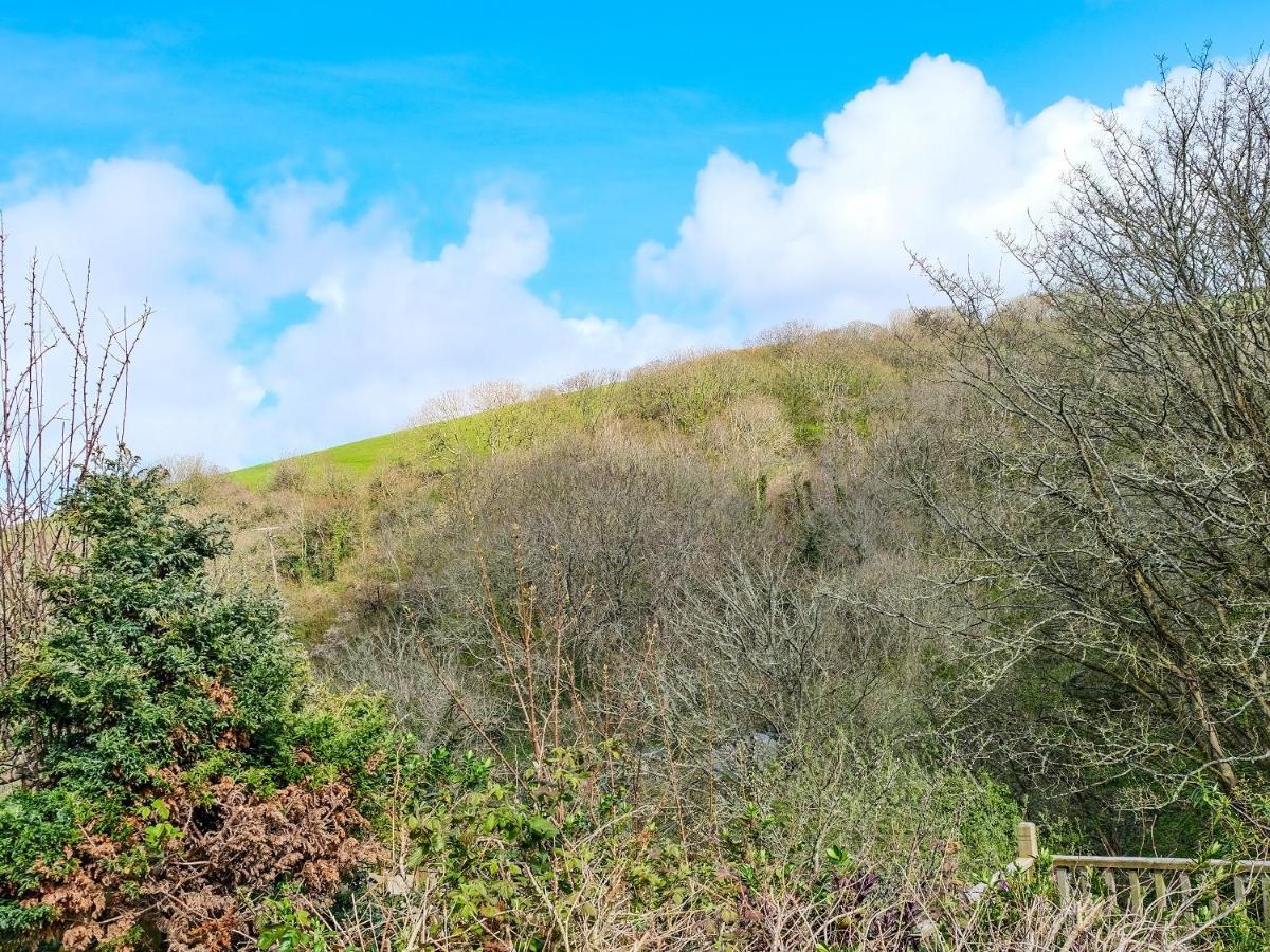 Ivy Cottage - Tq4 Boscastle Exterior photo